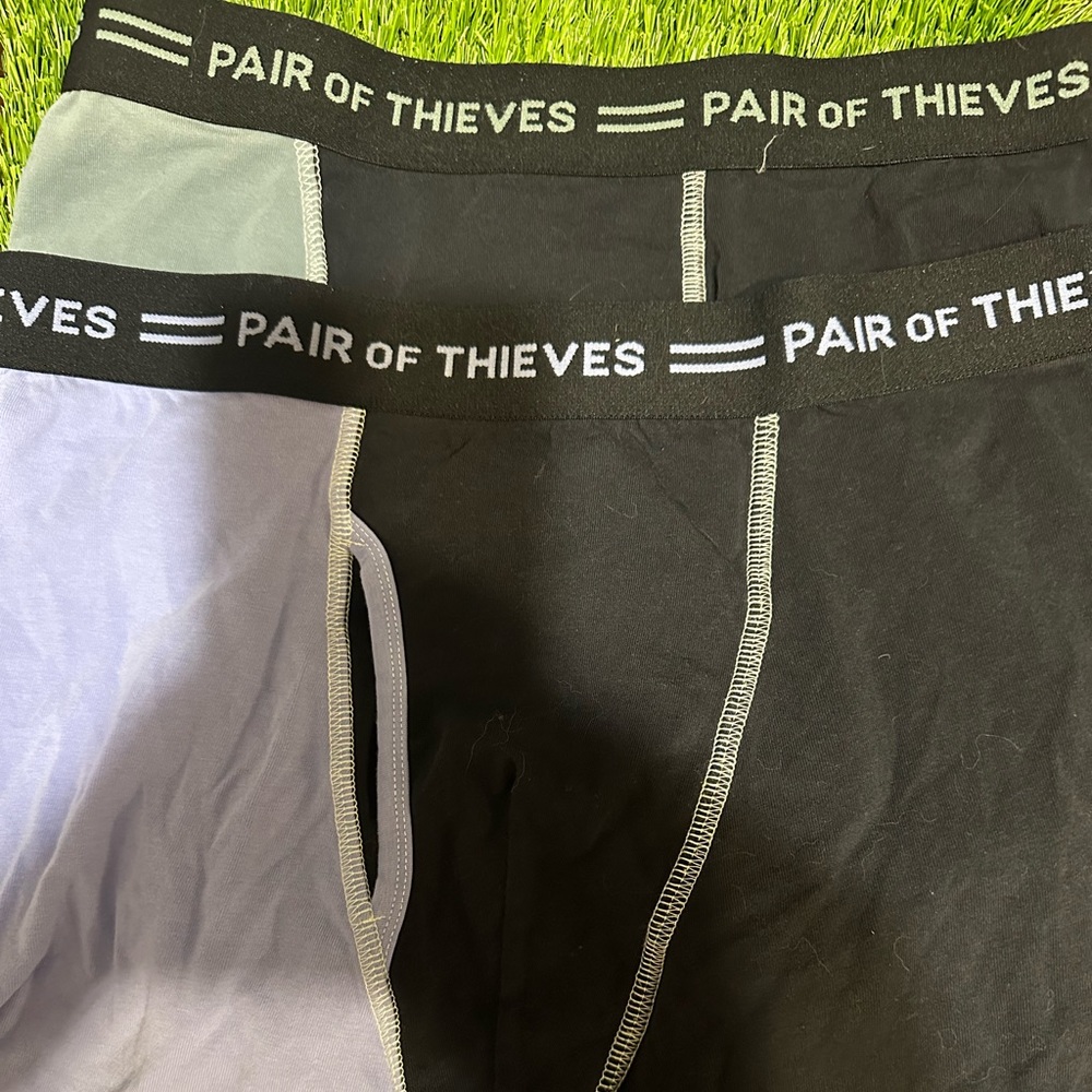 Pair of Thieves Briefs
